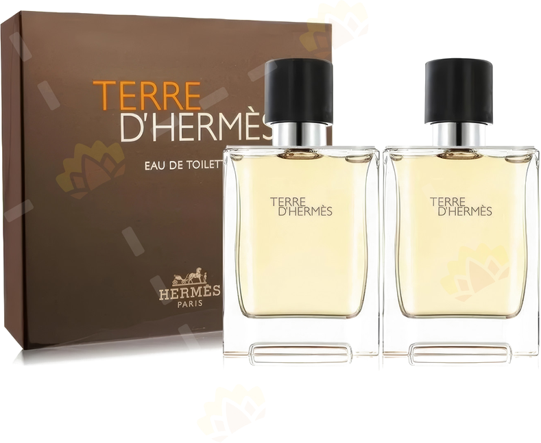 Hermes Terre D'Hermes Gift Set 100ml + 80ml Eau De Toilette